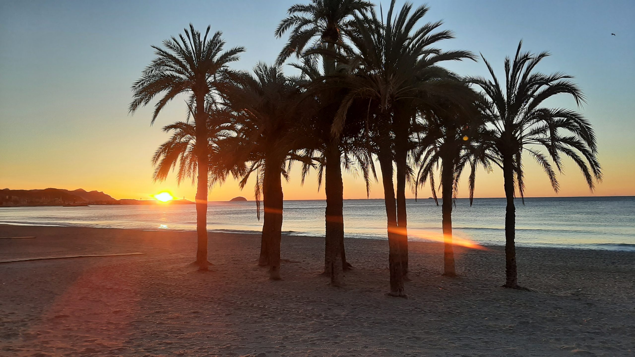 Playa amanecer